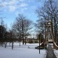 President’s Update