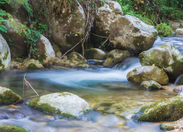 What's new at the Great Lakes Water Studies Institute? - NMC Communiqué