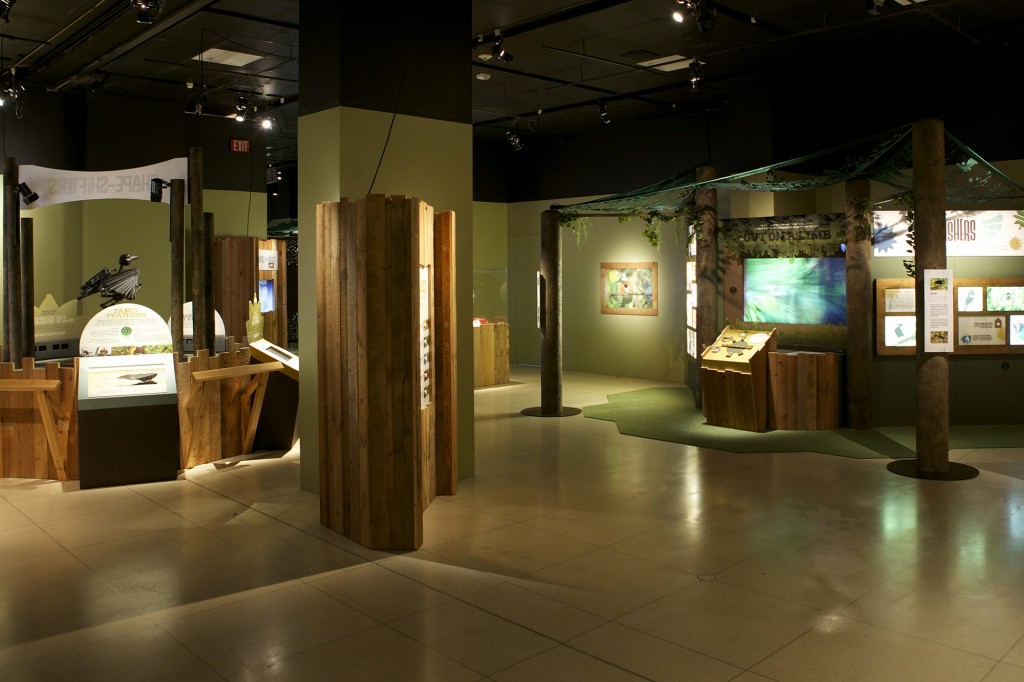 Birds of Paradise Exhibit