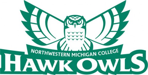 NMC hawk owl