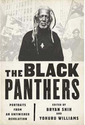 the-black-panthers