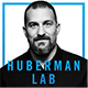 The Huberman Lab podcast