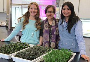 From left, Taylor West, Constanza Hazelwood and Karla Vega with greens grown in the vertical agriculture structure shown behind them.