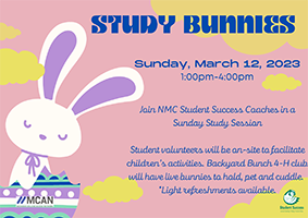 study bunnies