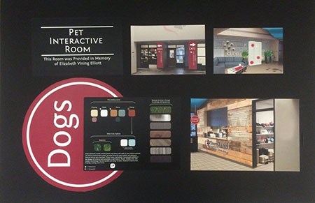 Pet Interactive Room NMC Visual Communications Project