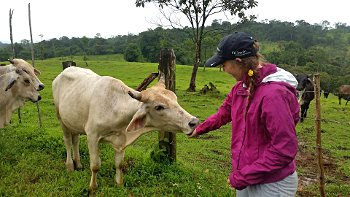 Eillie Sambrone and a cow in Costa Rica