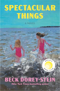 Spectacular Things book cover