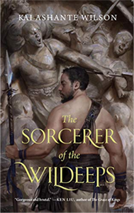 The Sorcerer of the Wildeeps book cover