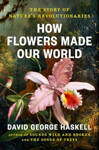 How Flowers Made Our World book cover
